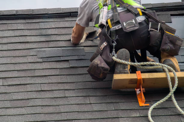 Best Green or Eco-Friendly Roofing Solutions  in Litchfield, MI