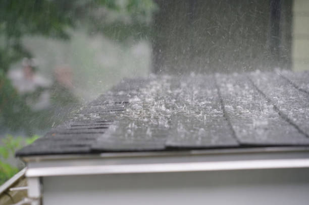 Professional Roofing Service in Litchfield, MI