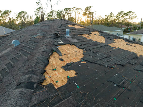 Best Skylights  in Litchfield, MI